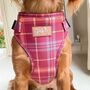 Check Her Out Step In Dog Harness, thumbnail 7 of 9