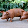 Mini Rusty Baby Pig Garden Sculpture, thumbnail 1 of 3