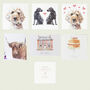 Luxury Paw Prints Gift Wrapping Paper 140gsm, thumbnail 5 of 5