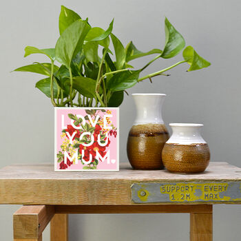 'Love You Mum' Mother's Day Plant Pot And Houseplant, 7 of 7