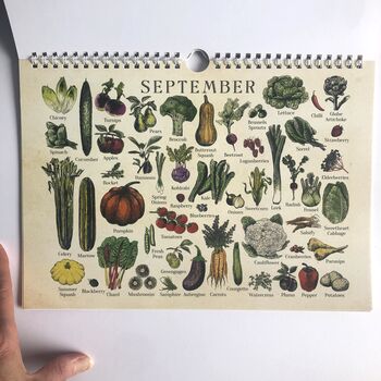 UK Seasonal Calendar, Dateless Fruit And Veg Calendar, 6 of 8