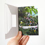 Tropical Greenhouse Greeting Card, thumbnail 2 of 3