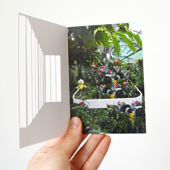 Tropical Greenhouse Greeting Card, 2 of 3