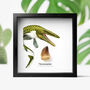 Mosasaurus Tooth And Watercolour Illustration Box Frame Real Authentic Dinosaur Fossil Museum Quality Interior Design Home Decor Gift Ornament, thumbnail 1 of 6