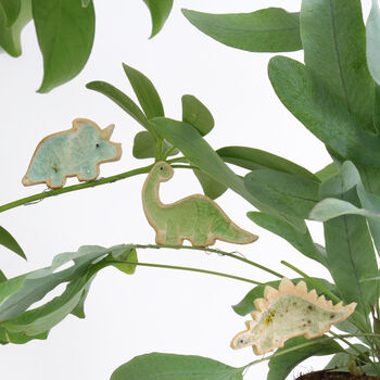 Tina Triceratops Dinosaur Plant Hugger Decoration | Gift Card | Letterbox Gift, 5 of 5