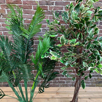 Artificial Palm And Ficus Tree Pair, 2 of 6