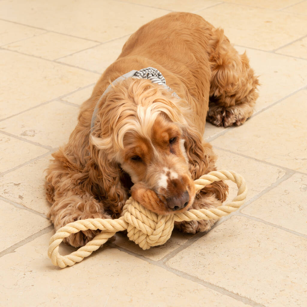 Mutts And Hounds Rope Tug Dog Toys By Mutts & Hounds