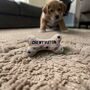 Bone Shaped Squeaky Small Dog Toy, thumbnail 4 of 6