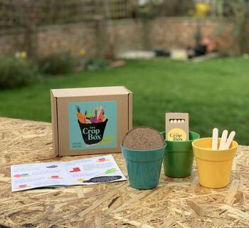 Grow Your Own Spring Onions Kit For Children, 4 of 4