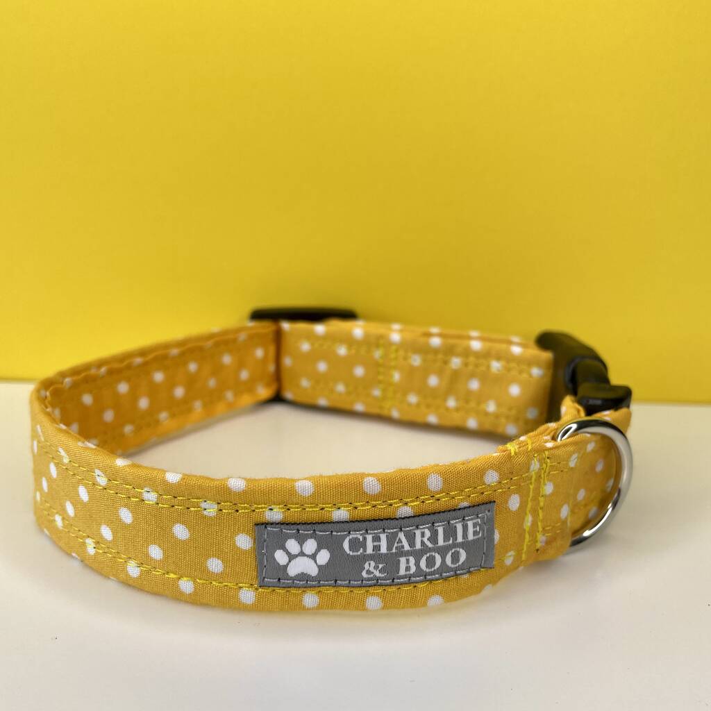 Yellow Dog Collar For Girl Or Boy Dogs By Charlie and Boo ...