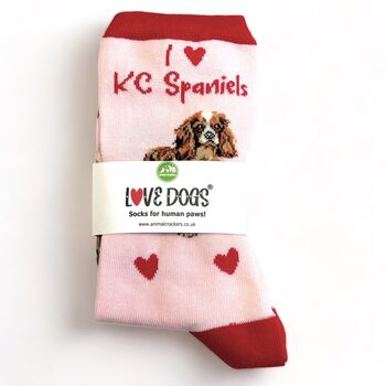 I Love Kc Spaniels Socks Novelty Gift, 5 of 6