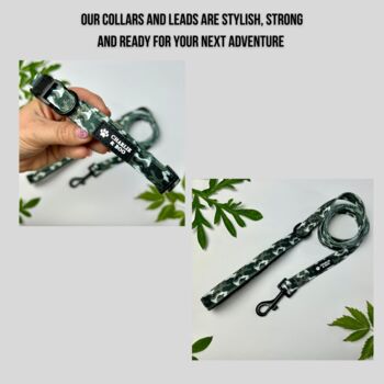 Camouflage Dog Collar And Lead, 2 of 6
