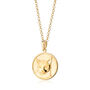 Cat Heads And Tails Coin Necklace, thumbnail 9 of 12
