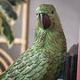 Set Of Parrot Bookends, thumbnail 3 of 5