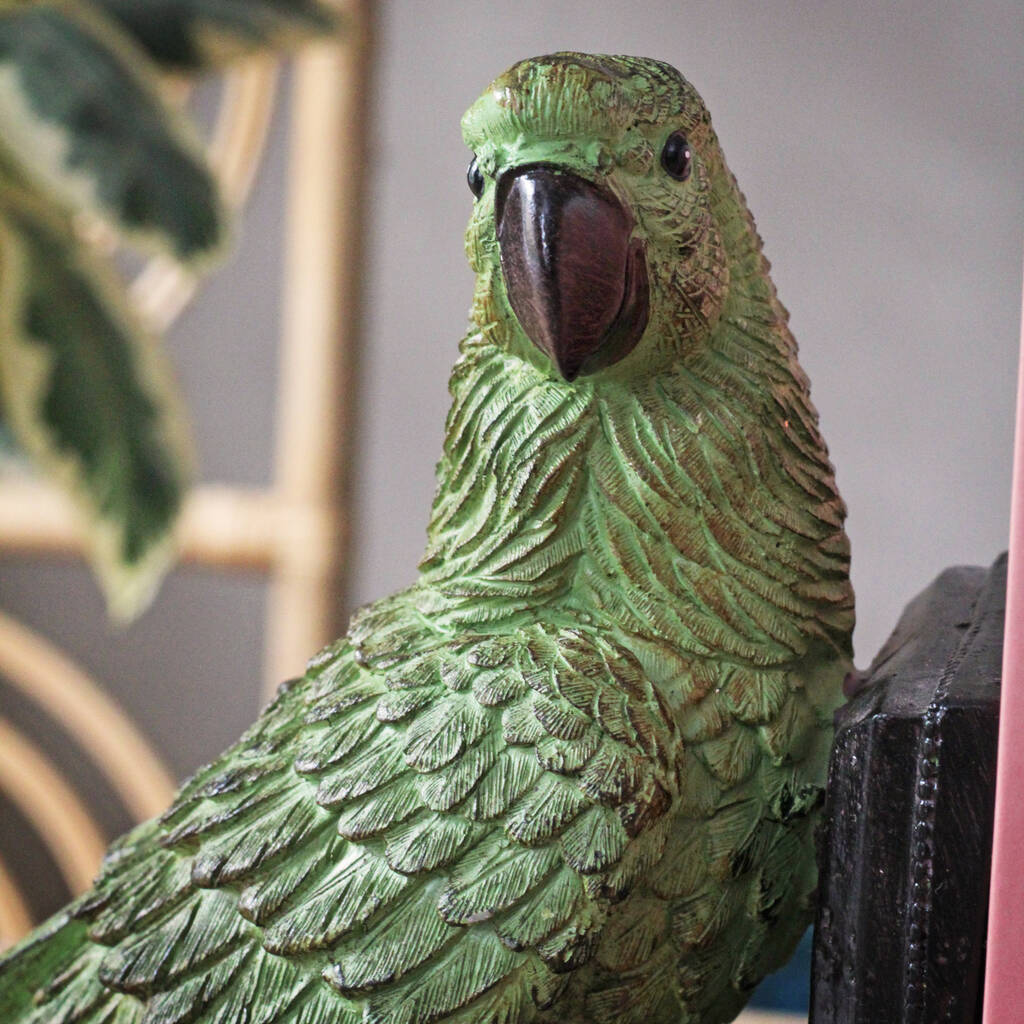 Set Of Parrot Bookends By Sophie MacBain