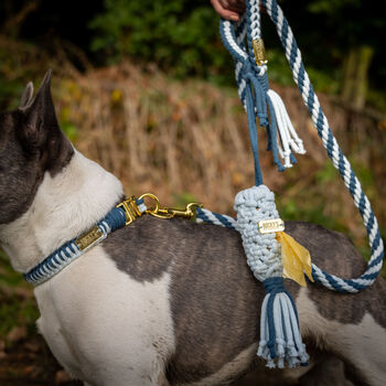 Make Your Own Blue Dog Lead Craft Kit, 6 of 7