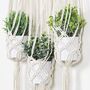 Three Pack Of Beige Macrame Plant Hangers Indoor, thumbnail 6 of 7