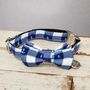 The New Anglesey Blue White Checked Dog Collar Bow Tie, thumbnail 1 of 4
