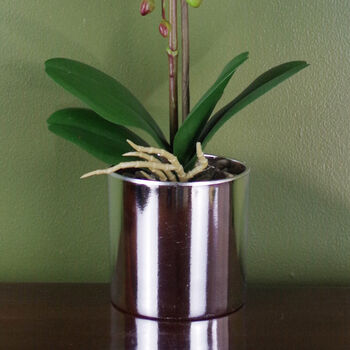 White Artificial Orchid Silver Pot 46cm Real Touch, 3 of 3