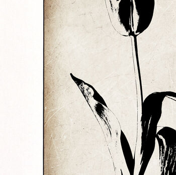 Tulip Fine Art Print Botanical Series, 4 of 7