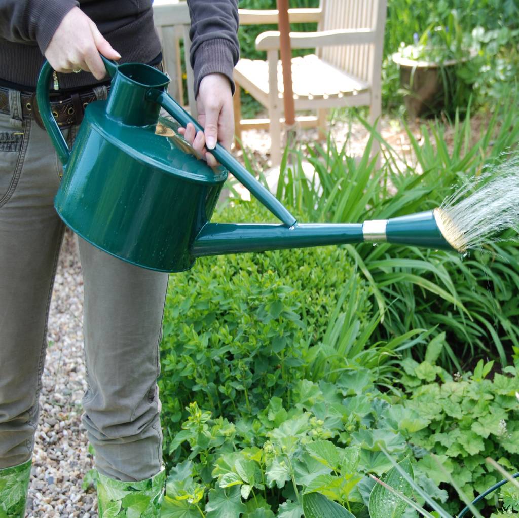 long-spout-watering-can-in-racing-green-by-garden-selections