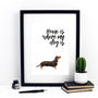 Home Is Where My Dog Is Dachshund Print, thumbnail 1 of 3