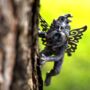 Fairy Garden Ornament Pixie Tree Hugger Wall Mounted, thumbnail 5 of 8