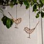 Indoor / Outdoor Hanging Robin Light, thumbnail 4 of 4