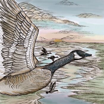 'Flying Geese' Print, 3 of 3