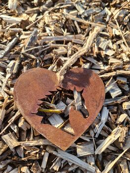 Horse Pet Memorial Rust Metal Love Heart Plaque, 8 of 10
