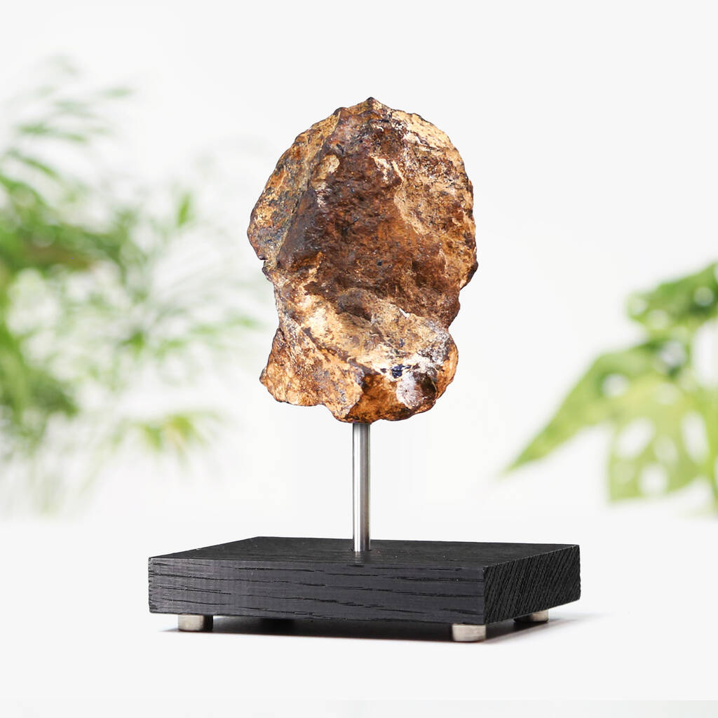 Chondrite Meteorite Bespoke Solid Oak Stand Real Authentic Space Meteor Fragment Natural History Interior Design Home Decor Display Gift Ornament, 1 of 3