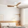Contemporary Ceiling Fan And Light, thumbnail 4 of 7