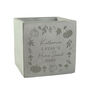 Personalised Pumpkin Concrete Plant Pot, thumbnail 3 of 4