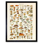 Millot 19th Century Mushrooms Encyclopedia Art Print, thumbnail 1 of 3