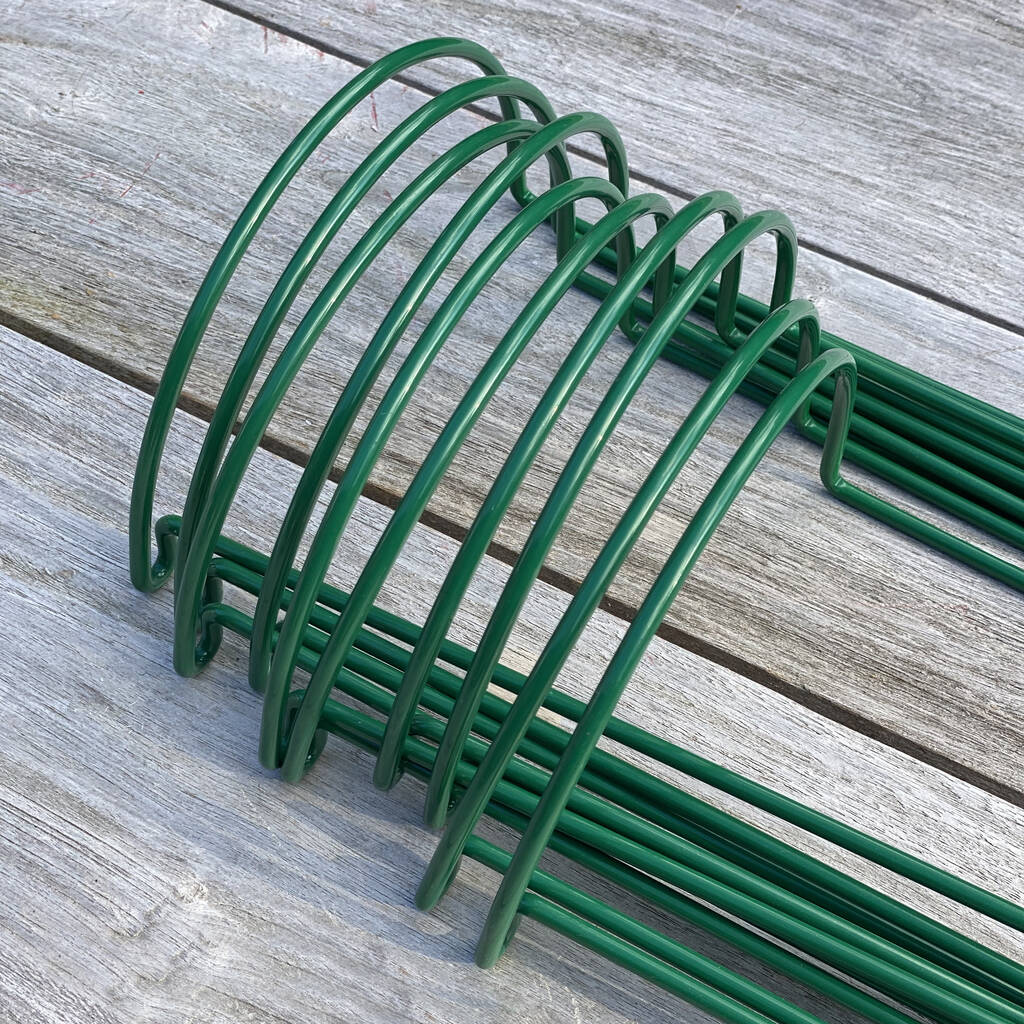 Garden Hoop Plant Supports 20cm X 35cm 10 Pack By Garden Selections