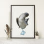 Blue Footed Booby Giclée Art Print, thumbnail 1 of 3