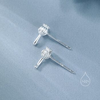 Extra Tiny Seed Pod Stud Earrings In Sterling Silver, 3 of 12