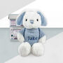Personalised Baby Bunny With Jumper, thumbnail 2 of 6