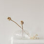 Small Ribbed Round Glass Vase, thumbnail 3 of 6
