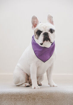 Classic Polka Dot Dog Bandana In Red, Green Or Purple, 7 of 12