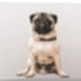 Pug Inspired Marshmallow, thumbnail 3 of 9