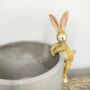 Bunny Plant Pot Hugger, thumbnail 2 of 2