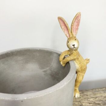 Bunny Plant Pot Hugger, 2 of 2