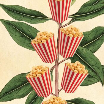 Popcorn Movie Poster Botanical Print, 9 of 11