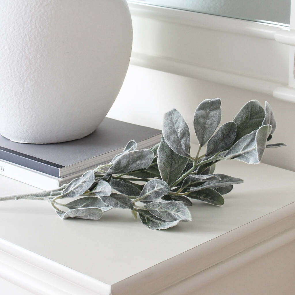 bunch of faux lambs ear stems by marquis & dawe