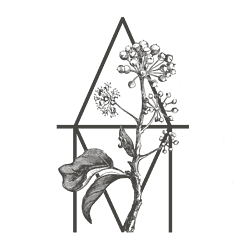 Abby Monroe Logo