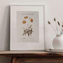 Birth Flower Wall Print 'Cosmos' For October, thumbnail 7 of 9