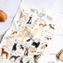 A Z Of Dogs Tea Towel, thumbnail 4 of 4