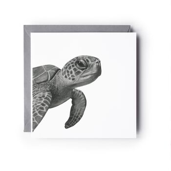 Turtle Sealife Hand Drawn Greeting Card, 2 of 6