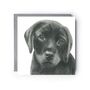 Adorable Labrador Puppy Hand Drawn Card, thumbnail 2 of 7